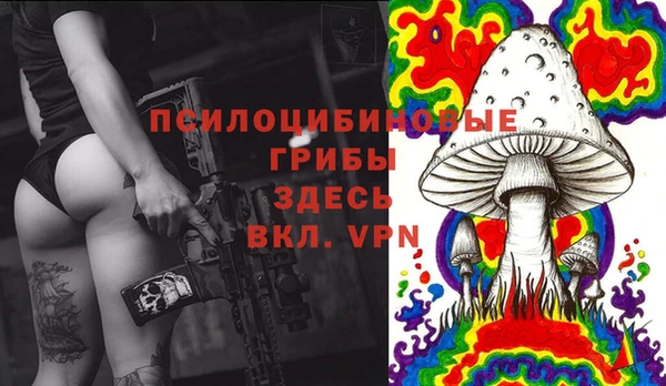 прущий лед Алексеевка