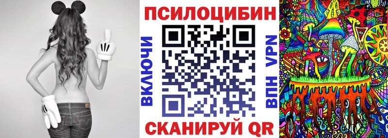 kraken tor  Амурск  Галлюциногенные грибы GOLDEN TEACHER  где найти наркотики 